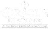 The Oracle Experience Logo